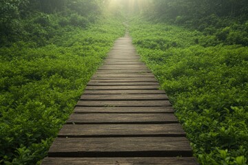 Obraz premium top-down view of rustic wooden path leading through green forest with blurred canopy of sunlight filtering through