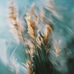 Ethereal Reeds: A mesmerizing display of swaying reeds bathed in soft sunlight, capturing the gentle dance of nature's artistry. 