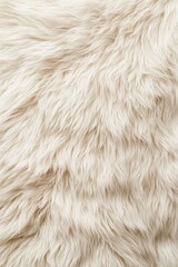 top-down view of soft patch of alpaca fur in creamy white tones with subtle natural textures