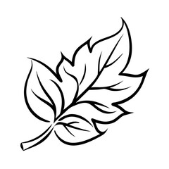 Leaf illustration with detailed lines