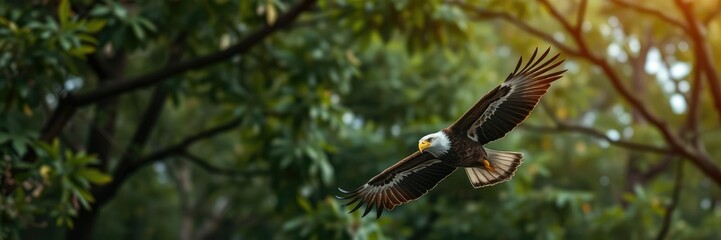 Obraz premium An eagle soaring through the dense forest canopy with blurred leaves and branches behind it, conveying a sense of freedom and power, forest, aerial view, foliage
