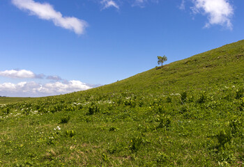 the beginning of the spring period in mountainous areas, remnants of snow cover and panoramic views...