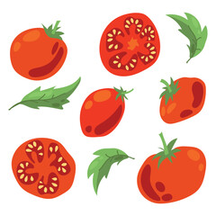 Set of ripe tomatoes. Vegetables. Red tomatoes. Juicy Harvest. Healthy food. Vector on a white background.