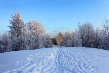 the road through the snow going into the distance. winter landscape.