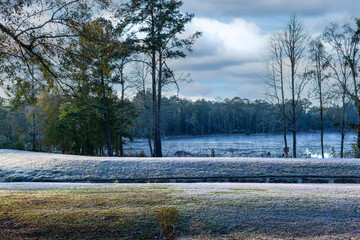 Morning Sun Warming the Tallahassee Landscape, Frosty Ground Cover