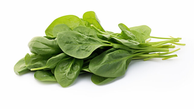 Fresh Spinach Leaves
