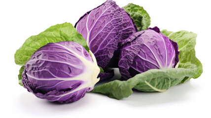 Obraz premium Purple Cabbage Variety