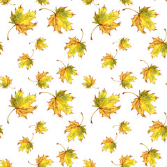 Seamless Autumn Maple Leaves Pattern on White Background
