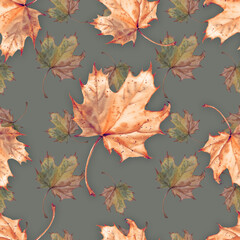 Seamless Autumn Maple Leaves Pattern on Blue Background