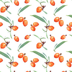 Seamless Watercolor Botanical Pattern of Sea Buckthorn Branches with Orange Berries and Green Leaves Isolated on White