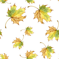 Seamless Autumn Maple Leaves Pattern on White Background