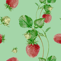 Watercolor seamless strawberry pattern. Strawberry garden, botanical illustration, pattern of bushes and berries.