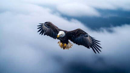 Naklejka premium Bald eagle soaring gracefully through clouds in the sky during daylight hours