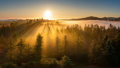 Golden sunbeams pierce through a misty forest at sunset, creating a magical atmosphere over the mountain landscape.