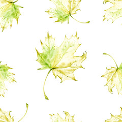 Seamless Autumn Maple Leaves Pattern on White Background