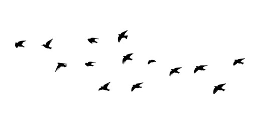 Flying birds silhouette flock. hand drawing. Not AI. Vector illustration.