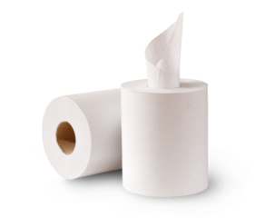 Two white soft toilet paper rolls