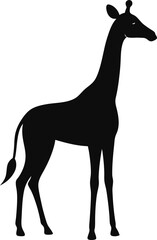 Zebra  illustration, Artwork