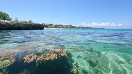 Fototapeta premium Tropical Beach with Clear Water and Coral Reef