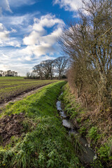 Farmland in Sussex with a ditch alongside and bare trees in the winter sunshine