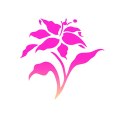 Obraz premium A pink flower displayed prominently against a clean white background, highlighting its delicate petals and vibrant color