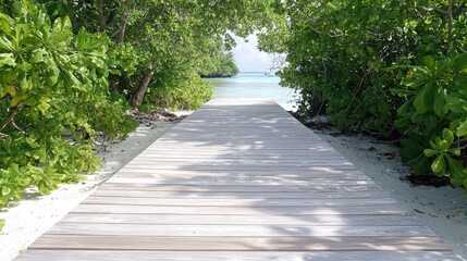 Obraz premium Tropical boardwalk leads to turquoise ocean