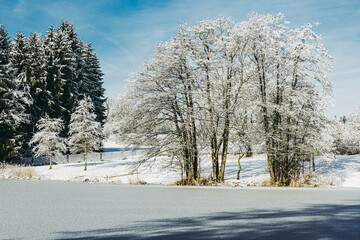 Winter am See, zugefrorener See mit Bäumen mit Raureif, 