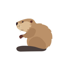 beaver animal symbol sign illustration 