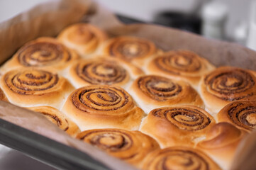 Delicious cinnamon rolls baking on a tray, freshly baked pastry