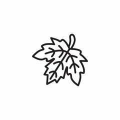 lined maple leaf icon sign vector