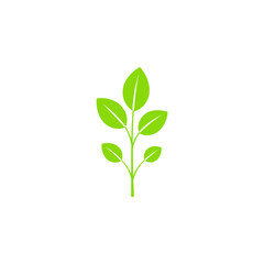 A green plant on a blue background with a green plant on it