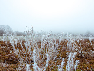 Paysage gelé