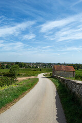 Paysage dans les vignes de Bourgogne