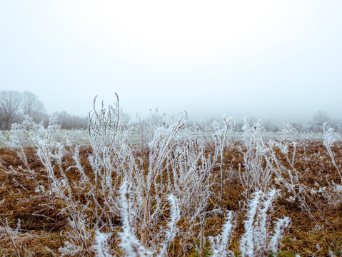 Paysage gel&eacute;