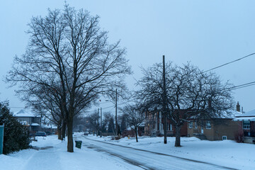 A quiet, snow-covered street captured during a peaceful winter day. The absence of people and the serene atmosphere create a picturesque and tranquil scene.