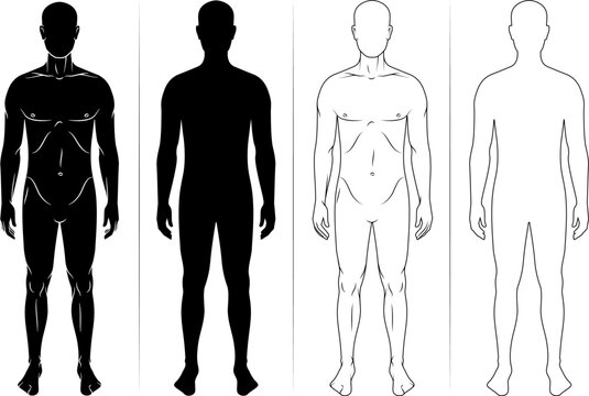 Human body silhouette, man outline figure or patient front view, vector contour. Male anatomy model of body for medical line icon or health and medicine patient full body