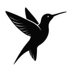 illustration of a hummingbird