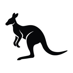kangaroo illustration