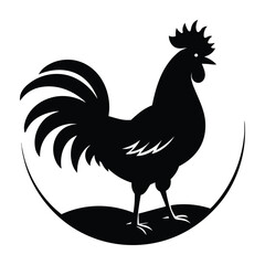 rooster isolated on white background