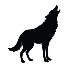 wolf vector illustration
