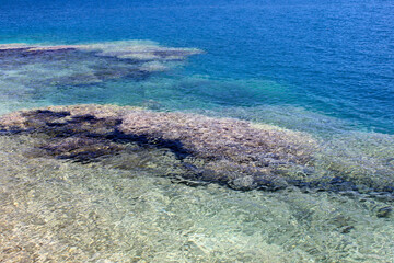 Obraz premium Huahine sea shore