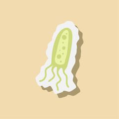 Bacteria and virus illustration. Pathogenic bacteria, viruses and microbes, disease-causing, color germs, bacterium type, microorganism infection