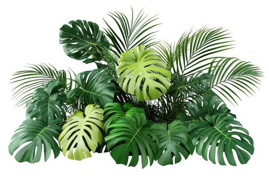Lush green tropical plants bush, cut out
