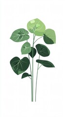 Obraz premium Elegant Green Leaves on White: A Minimalist Botanical Illustration for Modern Decor