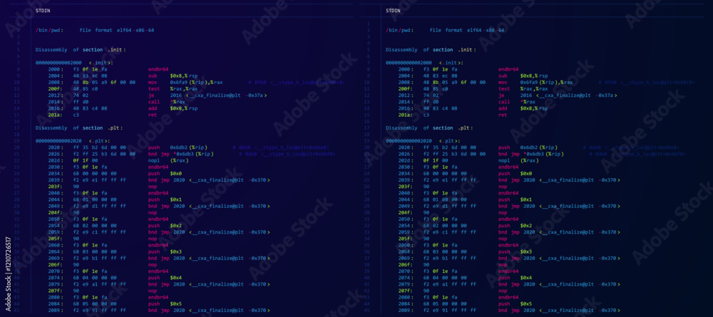 Fototapete Assembly Code Programming Language. Machine Code Program Hexadecimal Code. Computer Memory. Vector Illustration. Hacking, Cryptography, Malware, Reverse Engineering, Data Analysis Backdrop.