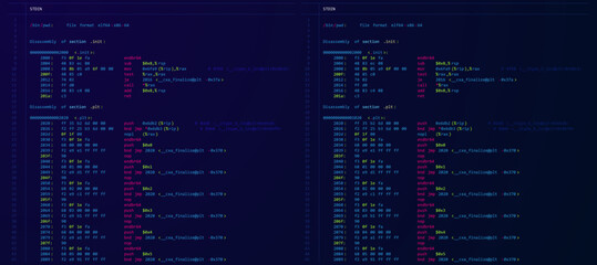 Assembly Code Programming Language. Machine Code Program Hexadecimal Code. Computer Memory. Vector Illustration. Hacking, Cryptography, Malware, Reverse Engineering, Data Analysis Backdrop.