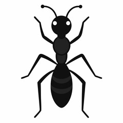 Ant icon vector on white background.
