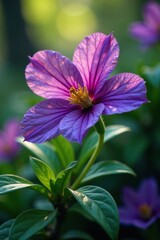 Fototapeta premium Gomphren blooms in shades of purple amidst foliage, colorful, foliage, flower