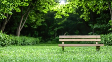 Fototapeta premium Tranquil park bench, lush green foliage background, serene setting, perfect for relaxation and contemplation