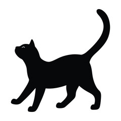 black cat on white
